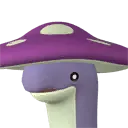菇波