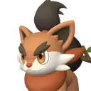 Pupperai